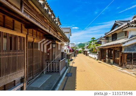 徳島　重伝建　脇町の町並み 113173546