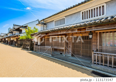 徳島　重伝建　脇町の町並み 113173547