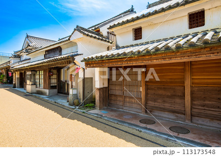 徳島　重伝建　脇町の町並み 113173548