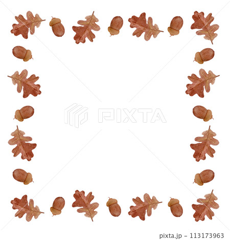 An oak leaf with an acorn watercolor square frame isolated on white An oak leaf with an acorn watercolor square frame isolated on white 113173963