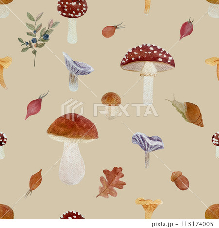 Wild mushroom watercolor seamless pattern isolated on beige. Porcini, Chanterelle, Fly agaric and Collybia nuda 113174005