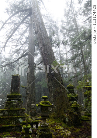 世界遺産　高野山　雨に煙る奥之院への道　和歌山県 113174428
