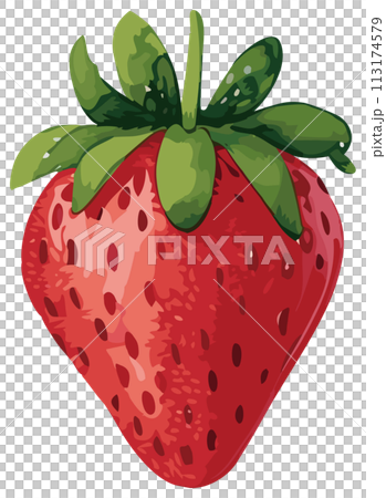 手繪草莓插畫 手繪草莓插畫 113174579