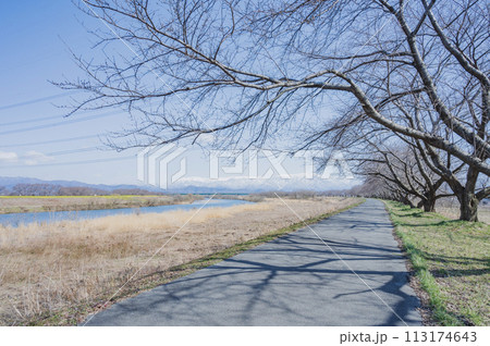 新潟 加治川堤(新発田市) 新潟 加治川堤(新発田市) 113174643