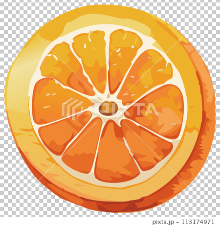 Hand-drawn orange illustration 113174971