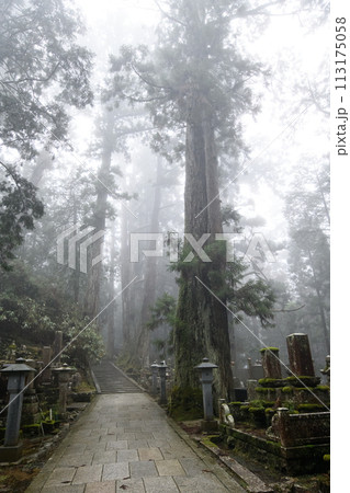 世界遺産 高野山 雨に煙る奥之院への道 和歌山県 世界遺産 高野山 雨に煙る奥之院への道 和歌山県 113175058