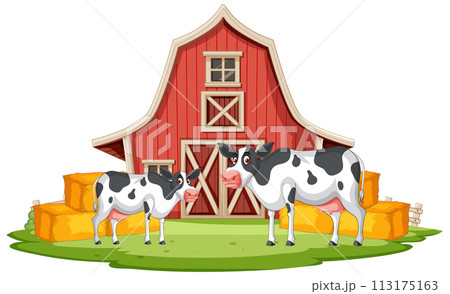 Cows Grazing by the Red Barn 113175163