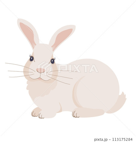 Easter illustration of a white rabbit 113175284