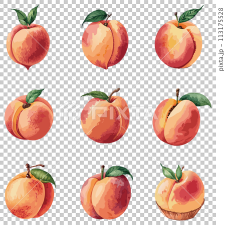 手書き風の桃のイラストセット 手書き風の桃のイラストセット 113175528