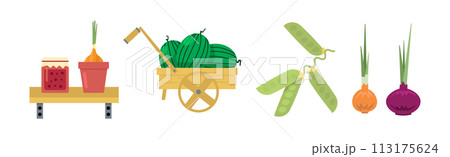 Farm Product Produce and Harvest Flat Vector Set 113175624