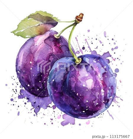 An expressive watercolor painting of a plum with vivid splashes 113175667
