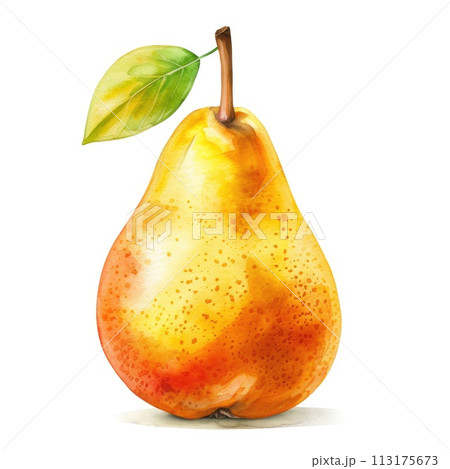 A sumptuous watercolor illustration of a ripe pear A sumptuous watercolor illustration of a ripe pear 113175673