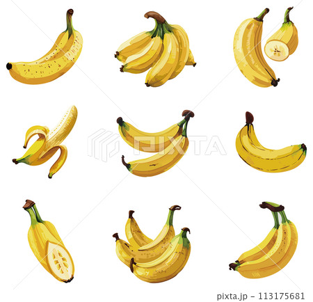 手書き風のバナナのイラストセット 113175681