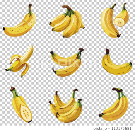 手書き風のバナナのイラストセット 113175681
