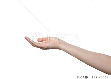 PNG,female hand, isolated on white background 113176535