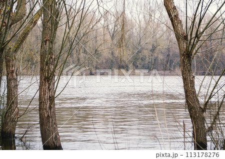 The river in spring time is in the background 113178276
