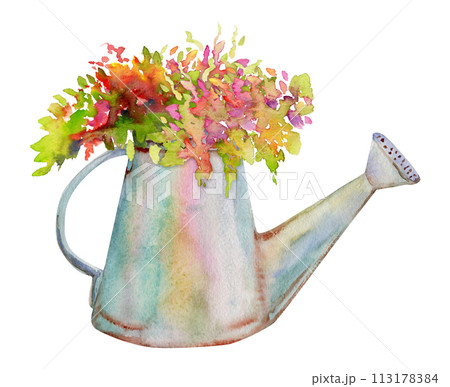 Hand drawn watercolor illustration spring gardening tools, metal watering can with flowers buds leaves. Composition isolated on white background. Design print, shop, scrapbooking, packaging, decoupage 113178384