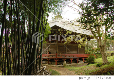 竹の茂る境内から見る春のお堂 113178406