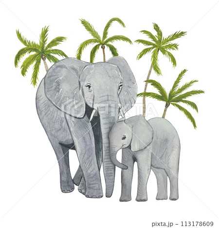 Hand drawn elephant with baby elephant, on a background of palm trees, watercolor illustration 113178609
