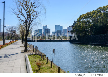 皇居前広場から見た皇居のお濠と霞ヶ関方面、高層ビル群 113179816