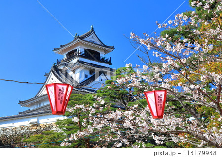 【高知県】快晴の高知城と満開の桜 【高知県】快晴の高知城と満開の桜 113179938