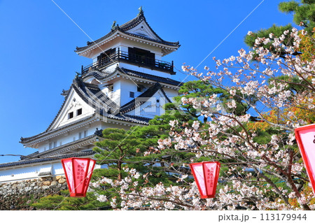 【高知県】快晴の高知城と満開の桜 【高知県】快晴の高知城と満開の桜 113179944