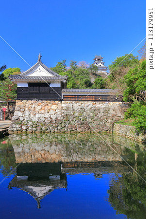 【高知県】シンメトリーな高知城と追手門と満開の桜 113179951