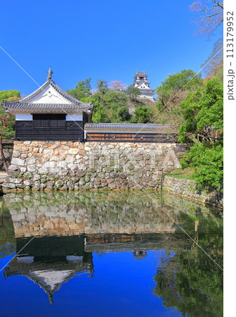 【高知県】シンメトリーな高知城と追手門と満開の桜 113179952