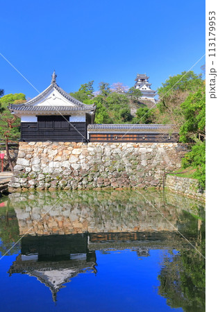 【高知県】シンメトリーな高知城と追手門と満開の桜 113179953