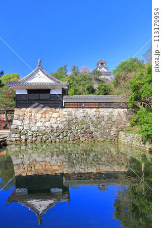 【高知県】シンメトリーな高知城と追手門と満開の桜 【高知県】シンメトリーな高知城と追手門と満開の桜 113179954