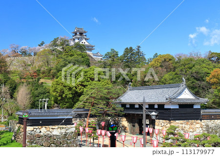 【高知県】晴天の高知城と追手門と満開の桜 113179977