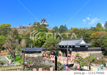 【高知県】晴天の高知城と追手門と満開の桜 113179980