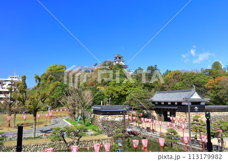 【高知県】晴天の高知城と追手門と満開の桜 113179982