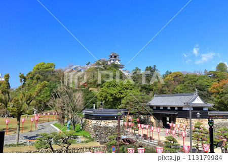 【高知県】晴天の高知城と追手門と満開の桜 113179984