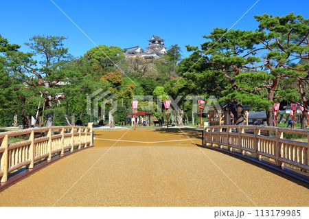 【高知県】快晴の高知城と丸ノ内緑地 【高知県】快晴の高知城と丸ノ内緑地 113179985