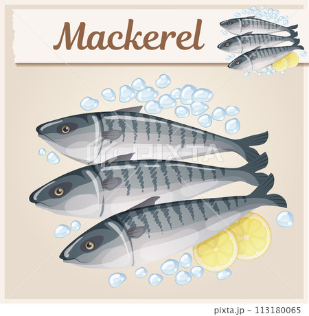 Frozen mackerel icon. Cartoon food vector illustration 113180065