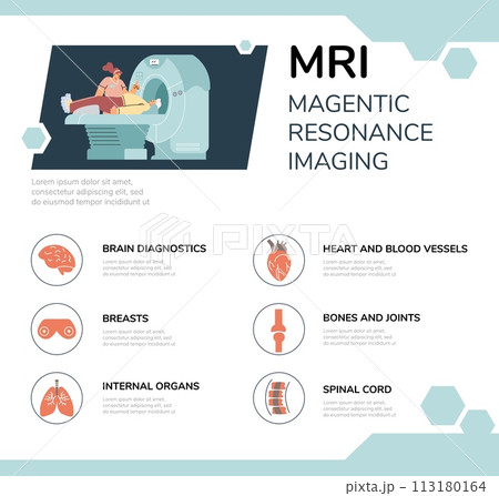 Information vector layout explaining the stages of an MRI examination. 113180164