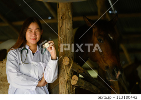 Young veterinarian in white coat with stethoscope standing near horses in the stable 113180442