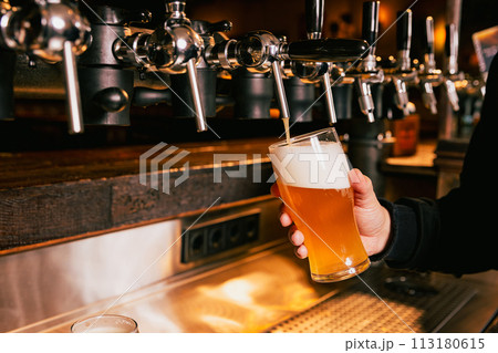 Bartender pouring light, cold foamy beer from tap into glass at bar with multiple beer dispensers. Serving craft beer from tap. Oktoberfest concept. Bartender pouring light, cold foamy beer from tap into glass at bar with multiple beer dispensers. Serving craft beer from tap. Oktoberfest concept. 113180615