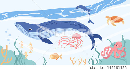 Hand drawn sea animals composition with a whale underwater 113181123
