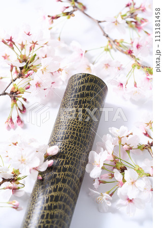 卒業イメージ 113181458