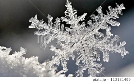 雪の結晶 雪の結晶 113181499