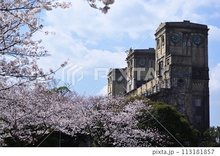 桜咲く根岸森林公園 113181857