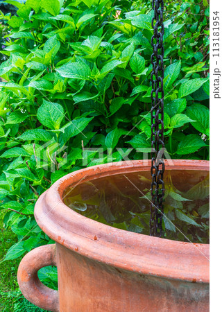 Rain chain with water tank in green garden 113181954
