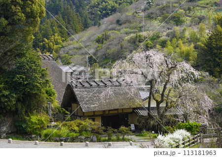 桜に囲まれた古民家 賀名生皇居 桜に囲まれた古民家 賀名生皇居 113181963