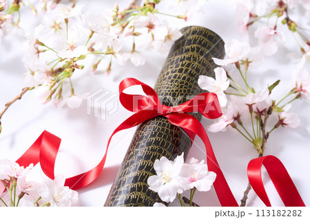 卒業イメージ 113182282