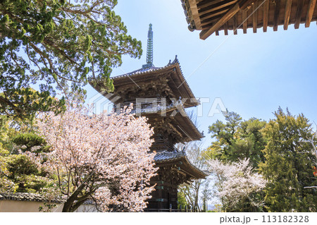 桜満開の道成寺 桜満開の道成寺 113182328
