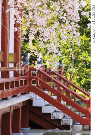 桜満開の道成寺 桜満開の道成寺 113182358