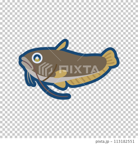 可愛的鯰魚圖 113182551