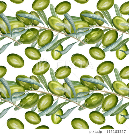 watercolor seamless pattern with branch of green olives with leaves and fruits, hand drawn illustration of olive, white background, for food packaging watercolor seamless pattern with branch of green olives with leaves and fruits, hand drawn illustration of olive, white background, for food packaging 113183327